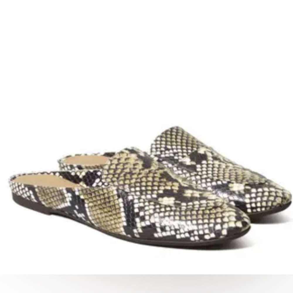 Everlane Day Loafer mule leather Python snakeskin print slip on flats